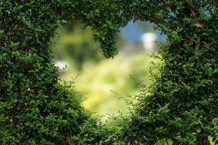 A través del corazón